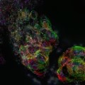 Shader 354